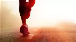 ##IMAGE##