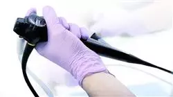 ##IMAGE##