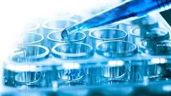 practicas externas nutricion genomica precision