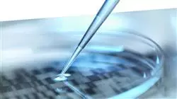 ##IMAGE##