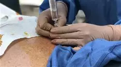 ##IMAGE##