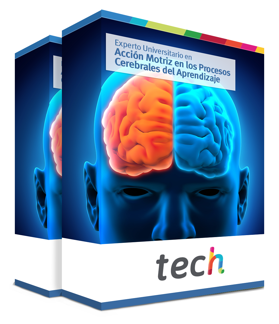 especializacion accion motriz procesos cerebrales aprendizaje caja