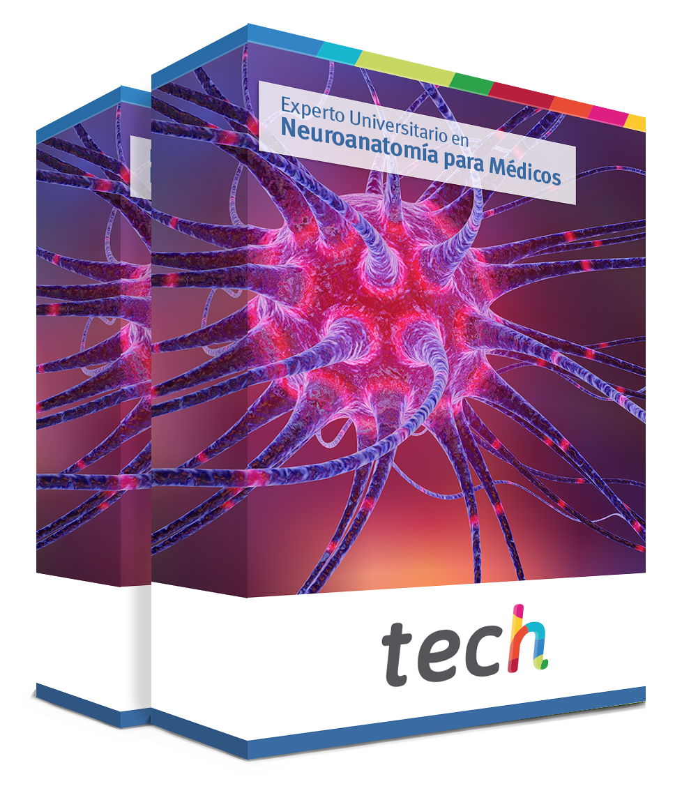 especializacion neuroanatomia medicos caja