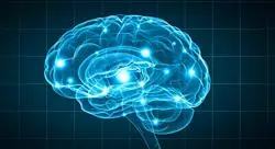 experto neuroeducación y neurolingüística en medicina