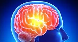 cursos neuroeducación prácticas motrices y desarrollo cerebral en medicina