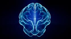 especializacion online neuroeducación prácticas motrices y desarrollo cerebral en medicina