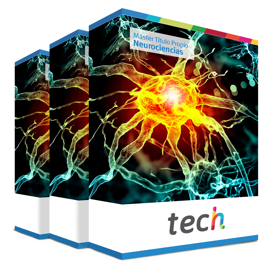 maestria neurociencias caja