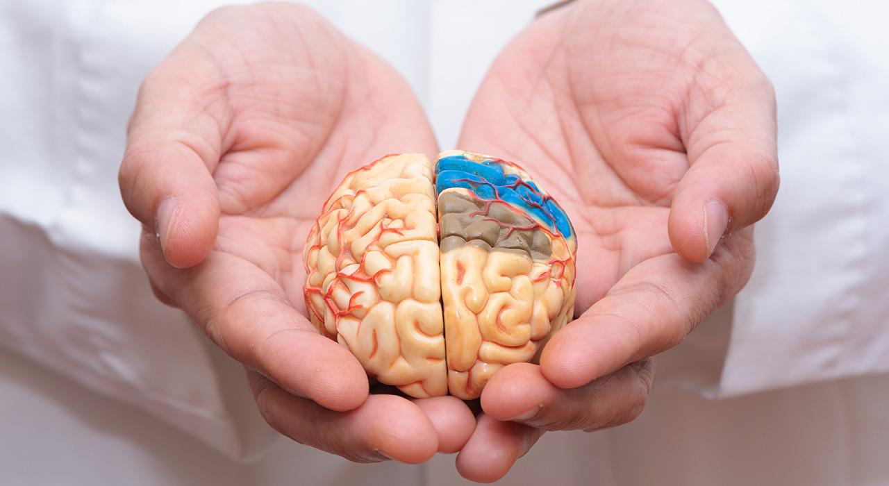Maestría en Neurorrehabilitación logopédica y Análisis de Funciones Vitales. Terapia Orofacial y Miofuncional