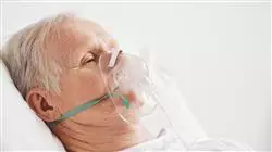 ##IMAGE##