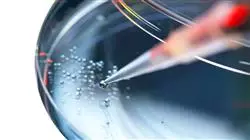 especializacion online access market pharma biotech