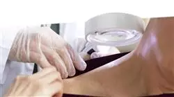 ##IMAGE##