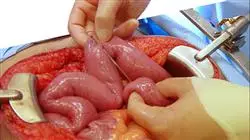 ##IMAGE##