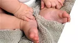 ##IMAGE##