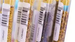 diplomado online alimentacion salud equidad sostenibilidad