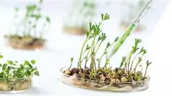 posgrado alimentacion salud equidad sostenibilidad