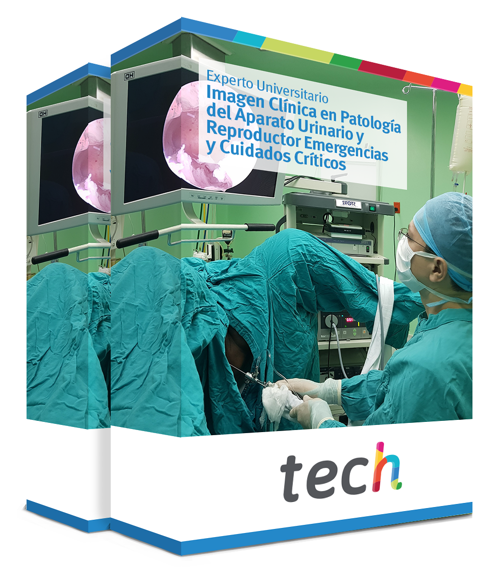 especializacion imagen clinica patologia aparato urinario reproductor emergencias cuidados criticos caja