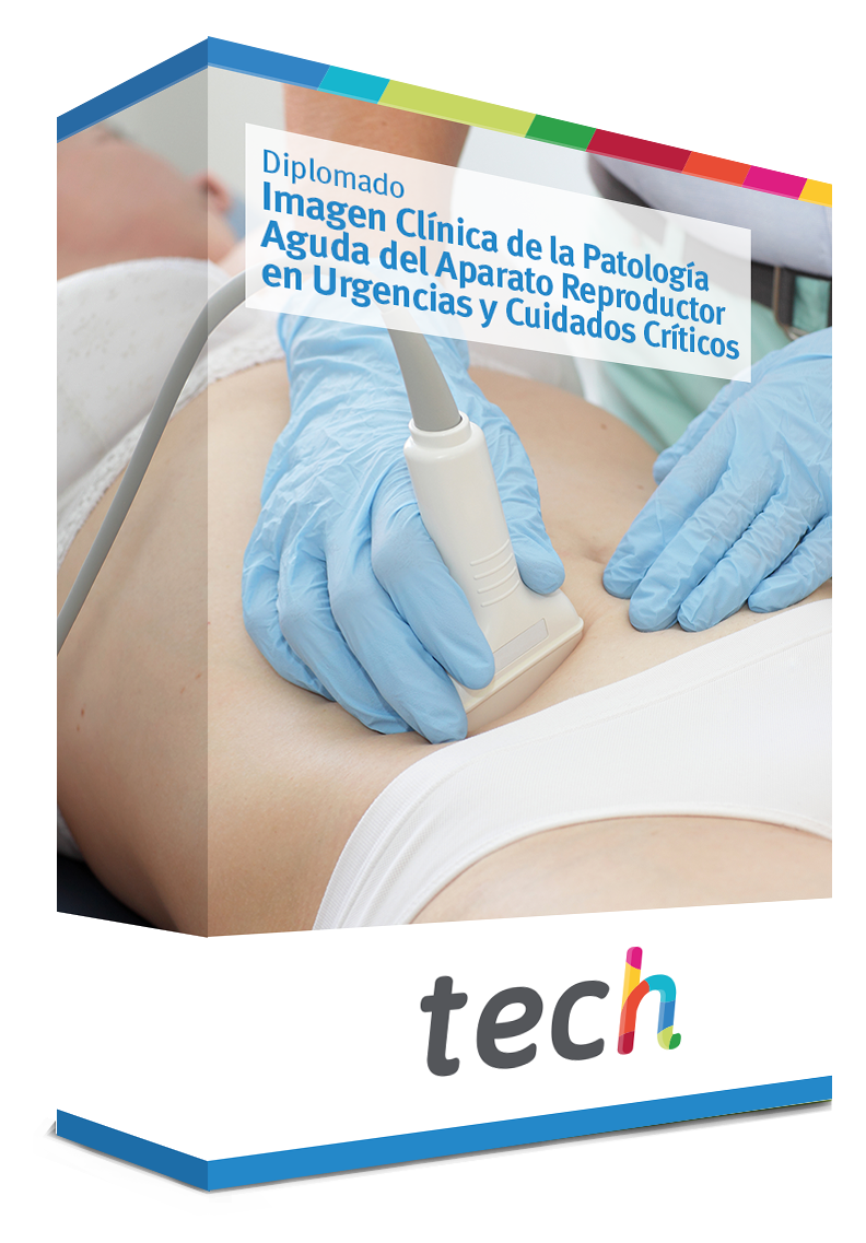 diplomado imagen clinica patologia aguda aparato reproductor urgencias cuidados criticos caja