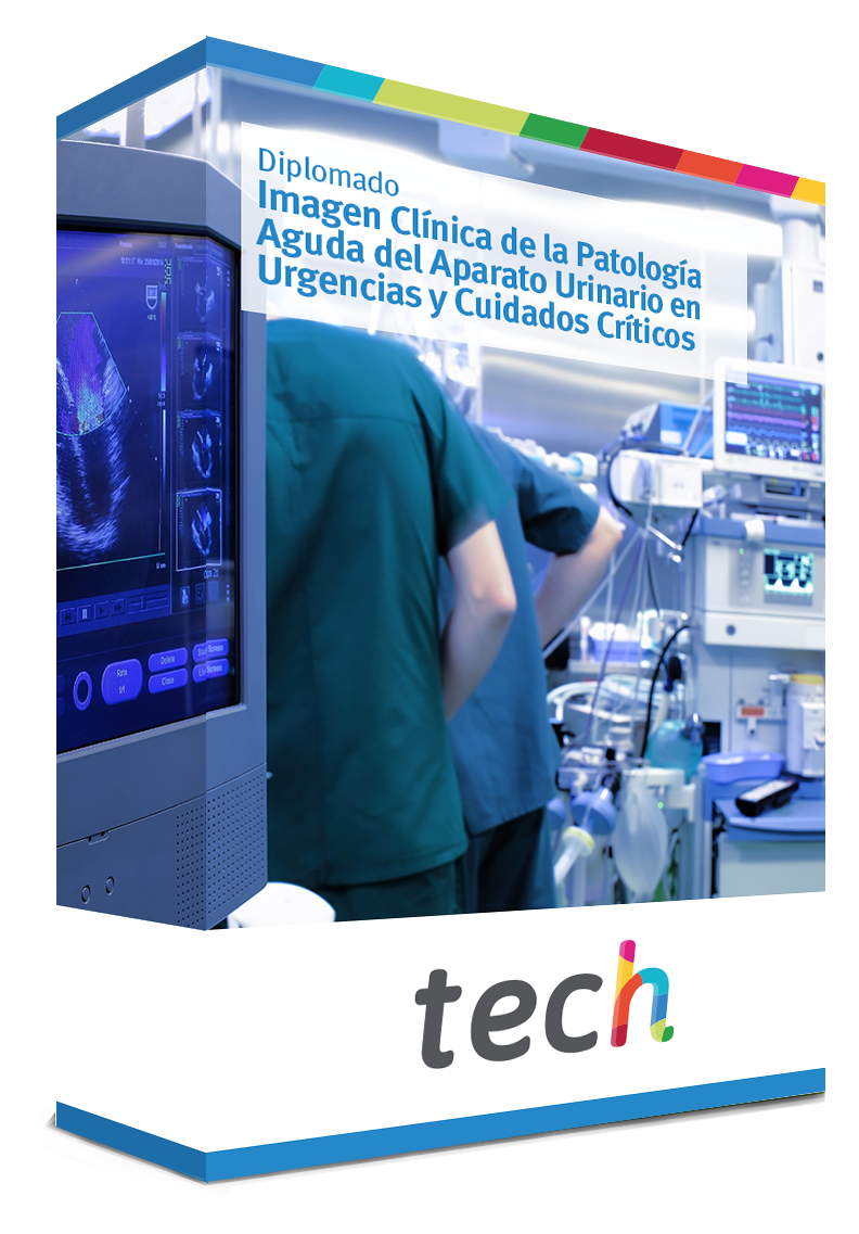 diplomado imagen clinica patologia aguda aparato urinario urgencias cuidados criticos caja