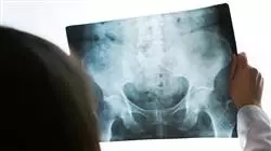##IMAGE##