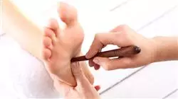 ##IMAGE##