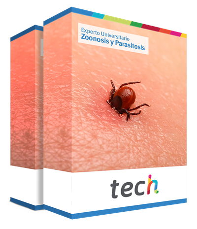 especializacion zoonosis parasitosis caja