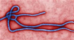especializacion infecciones víricas bacterianas y micóticas