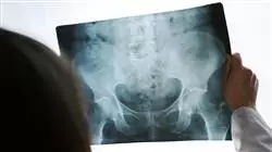 ##IMAGE##