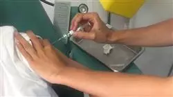 ##IMAGE##