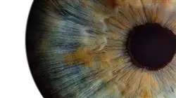 ##IMAGE##