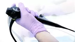 ##IMAGE##