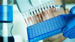 diplomado online biologia molecular tumores cerebrales