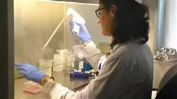 posgrado biologia molecular tumores cerebrales