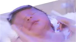 ##IMAGE##
