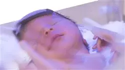 ##IMAGE##