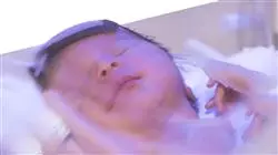 ##IMAGE##