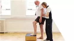 ##IMAGE##