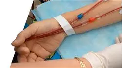##IMAGE##