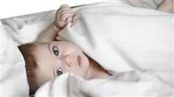 ##IMAGE##