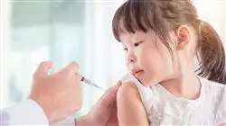 ##IMAGE##