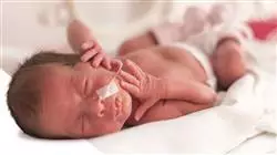 ##IMAGE##