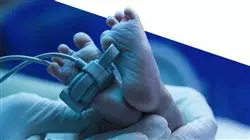 ##IMAGE##