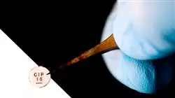 ##IMAGE##