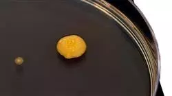 ##IMAGE##