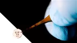 ##IMAGE##