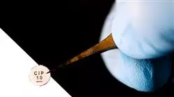 ##IMAGE##