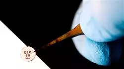 ##IMAGE##