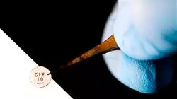 ##IMAGE##