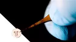 ##IMAGE##