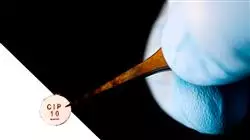 ##IMAGE##