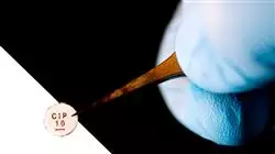 ##IMAGE##